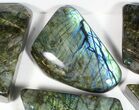 Lot: Lbs Free-Standing Polished Labradorite - Pieces #77657-1